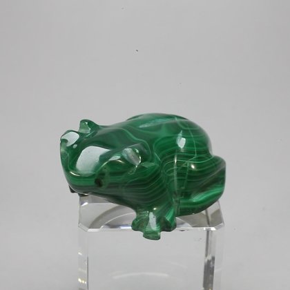 Malachite Crystal Frog ~42x16mm