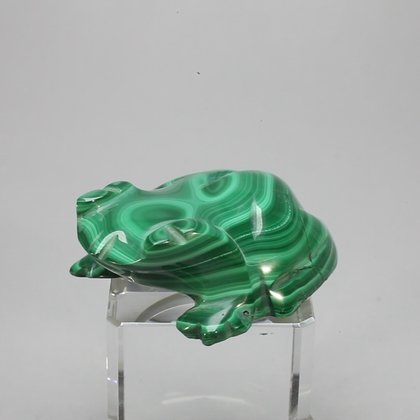 Malachite Crystal Frog ~46x15mm