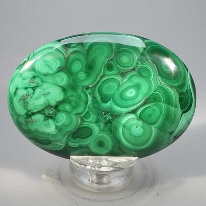 Malachite Palmstone (Extra Grade) ~70x50mm