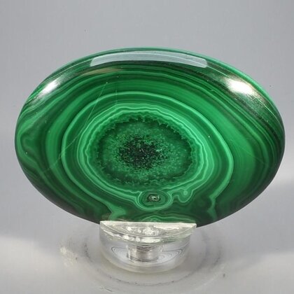 Malachite Palmstone (Extra Grade) ~70x50mm