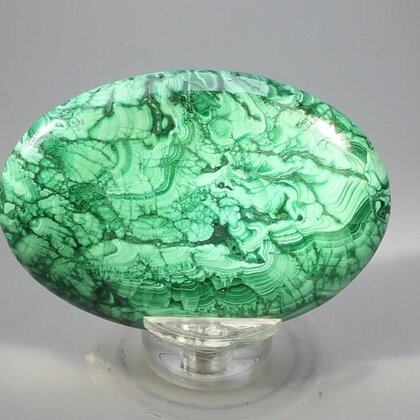 Malachite Palmstone (Extra Grade) ~70x50mm
