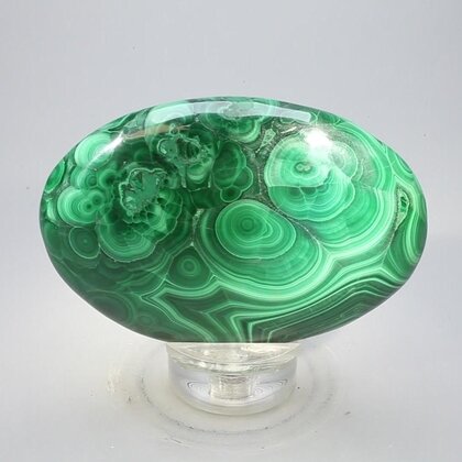 Malachite Palmstone (Extra Grade) ~70x50mm