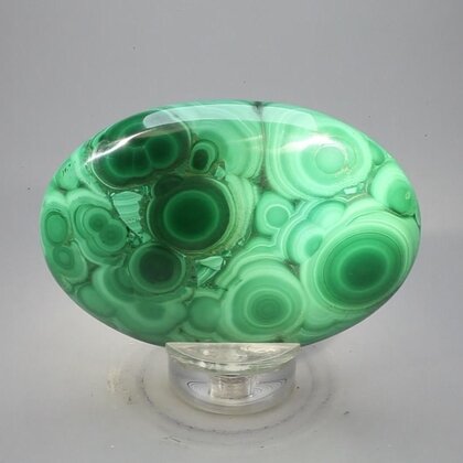 Malachite Palmstone (Extra Grade) ~70x50mm