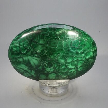 Malachite Palmstone (Extra Grade) ~70x50mm