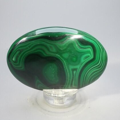 Malachite Palmstone (Extra Grade) ~70x50mm