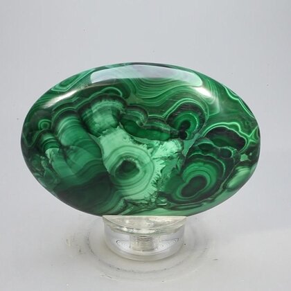 Malachite Palmstone (Extra Grade) ~70x50mm