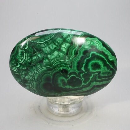 Malachite Palmstone (Extra Grade) ~70x50mm