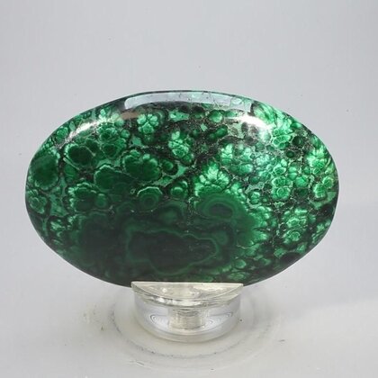 Malachite Palmstone (Extra Grade) ~70x50mm