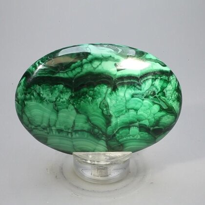 Malachite Palmstone (Extra Grade) ~70x50mm