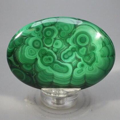 Malachite Palmstone (Extra Grade) ~70x50mm