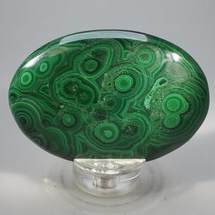 Malachite Palmstone (Extra Grade) ~70x50mm