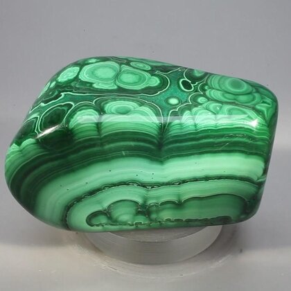 Malachite Polished Stone ~63mm