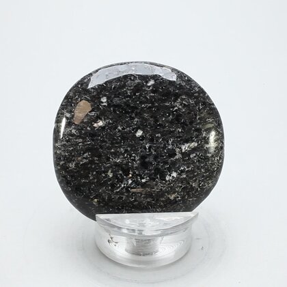 Nuummite Polished Flat Tumblestone ~44mm