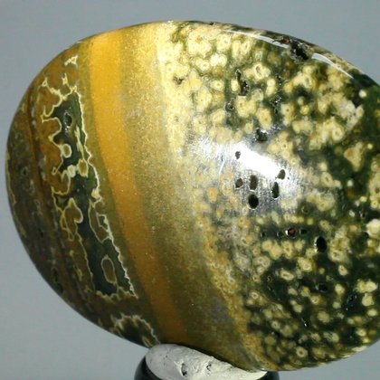 Ocean Jasper Palmstone (Extra Grade) ~70x50mm