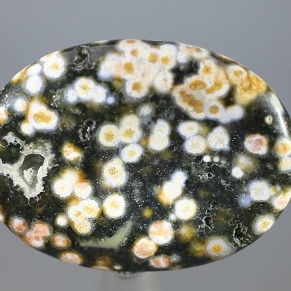 Ocean Jasper Thumbstone (Extra Grade) ~40mm