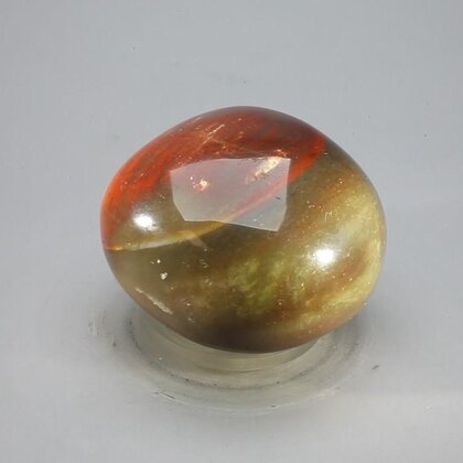 Petrified Wood Extra Large Tumblestone ~43mm
