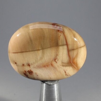 Petrified Wood Massage Stone ~37mm