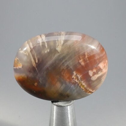 Petrified Wood Massage Stone ~37mm