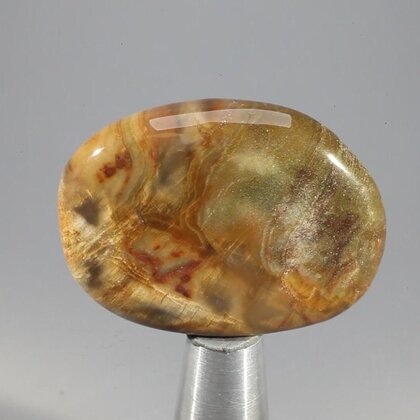 Petrified Wood Massage Stone ~38mm