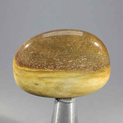 Petrified Wood Massage Stone ~40mm