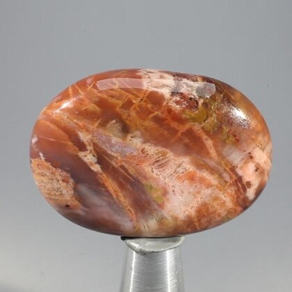 Petrified Wood Massage Stone ~40mm