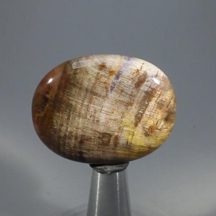 Petrified Wood Massage Stone ~40mm
