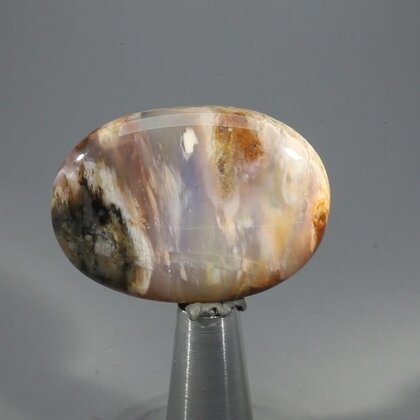 Petrified Wood Massage Stone ~40mm