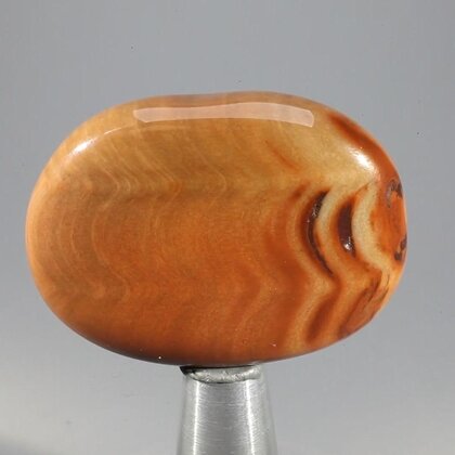 Petrified Wood Massage Stone ~40mm
