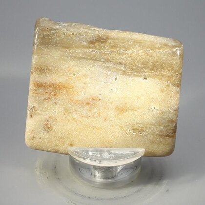 Petrified Wood Polished Tile ~50mm