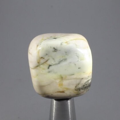 Picasso Jasper Tumblestone ~25mm