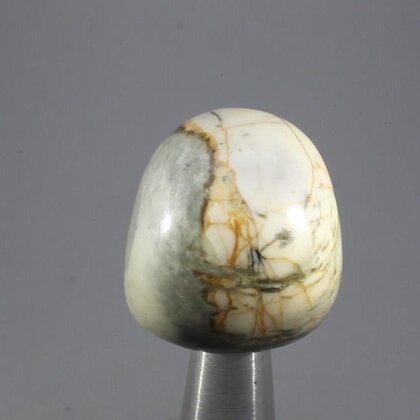 Picasso Jasper Tumblestone ~25mm