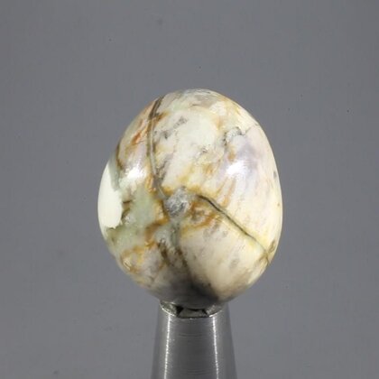 Picasso Jasper Tumblestone ~28mm