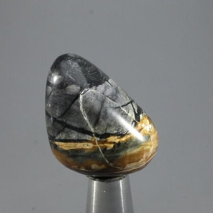 Picasso Jasper Tumblestone ~30mm