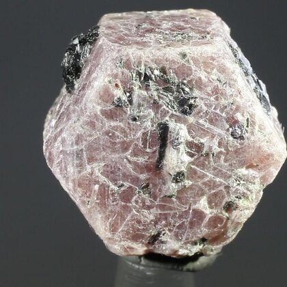 Pink Sapphire Healing Crystal ~23mm