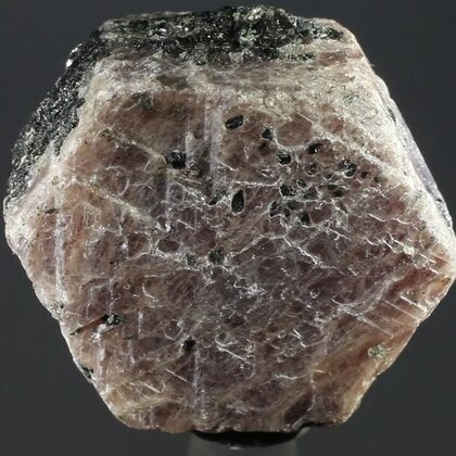 Pink Sapphire Healing Crystal ~30mm