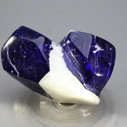 Polished Lapis Crystals on White Quartz ~32 x 48mm
