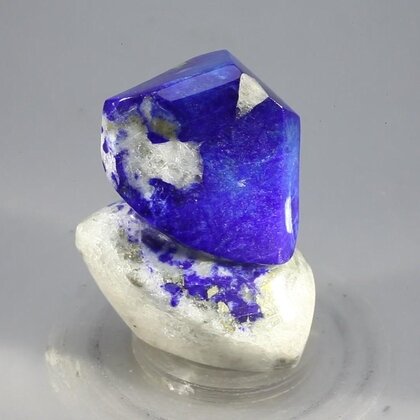 Polished Lapis Crystals on White Quartz ~40 x 31mm
