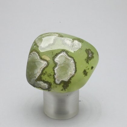 Prehnite Tumblestone ~37mm