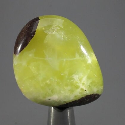 Prehnite Tumblestone ~39mm