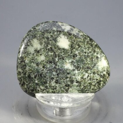Preseli Stonehenge Bluestone Polished Stone ~41mm