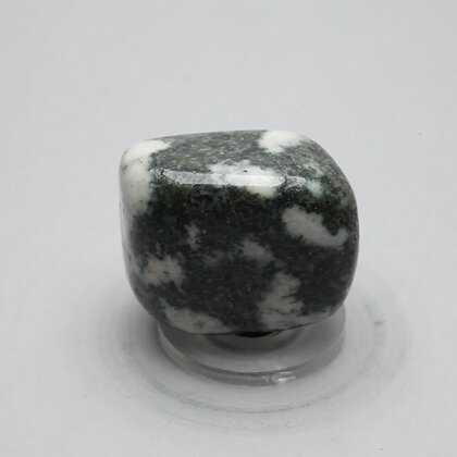Preseli Stonehenge Bluestone Tumblestone ~29mm