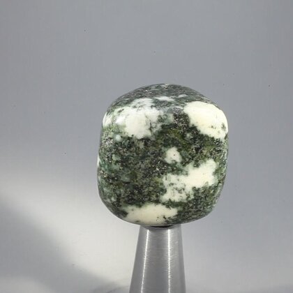Preseli Stonehenge Bluestone Tumblestone ~29mm