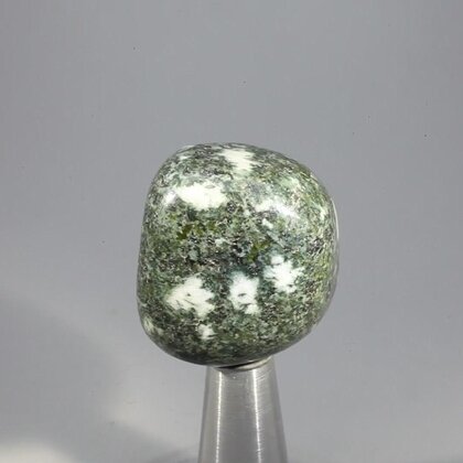 Preseli Stonehenge Bluestone Tumblestone ~29mm