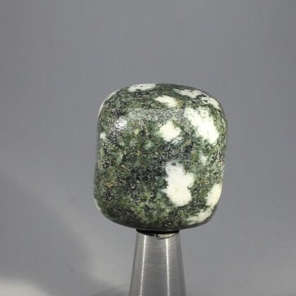 Preseli Stonehenge Bluestone Tumblestone ~30mm