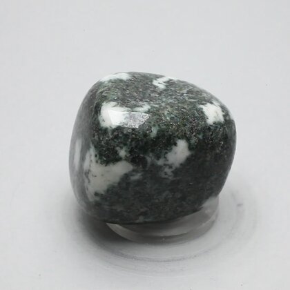 Preseli Stonehenge Bluestone Tumblestone ~31mm