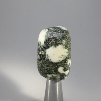 Preseli Stonehenge Bluestone Tumblestone ~32mm