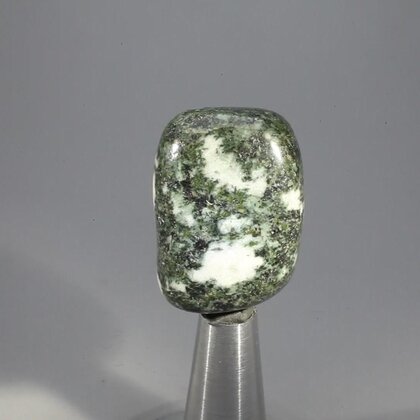 Preseli Stonehenge Bluestone Tumblestone ~33mm