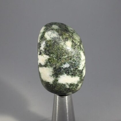 Preseli Stonehenge Bluestone Tumblestone ~36mm