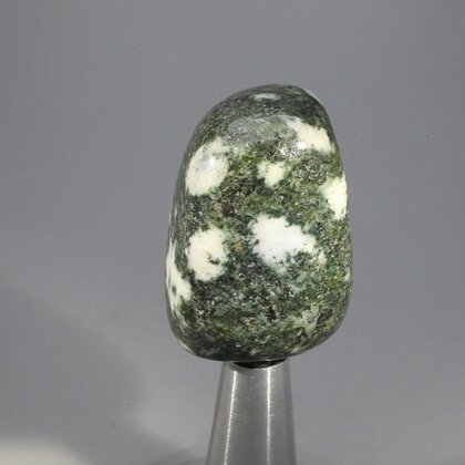 Preseli Stonehenge Bluestone Tumblestone ~36mm