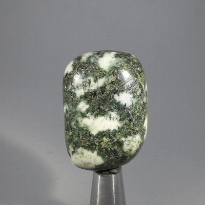 Preseli Stonehenge Bluestone Tumblestone ~37mm